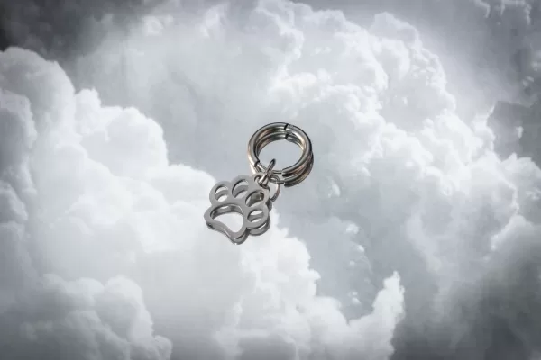 20201212 053559660 iOS