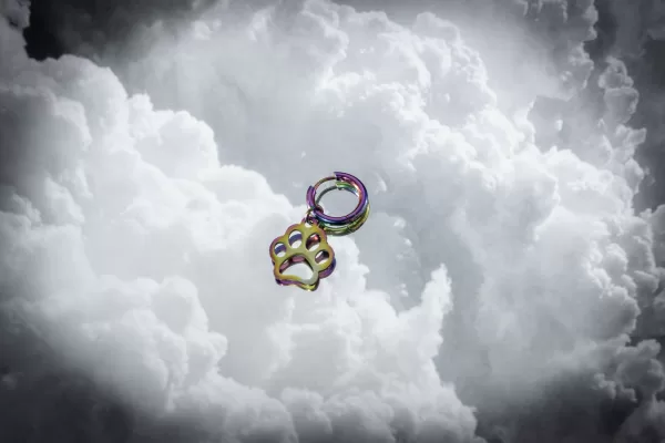 20211212 065838830 iOS